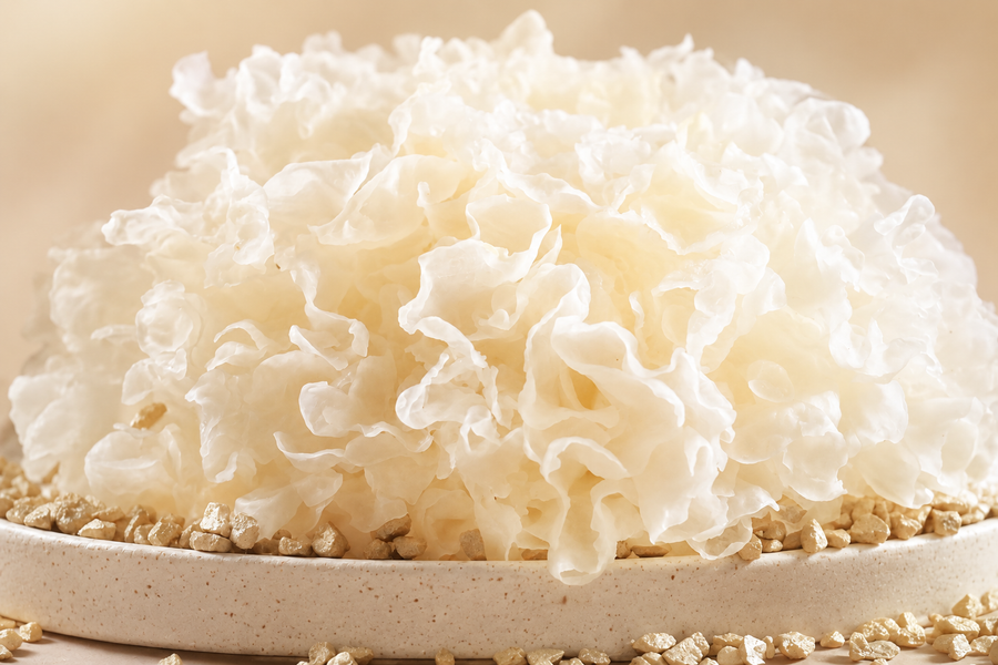 Tremella Fuciformis — Fungo della Neve