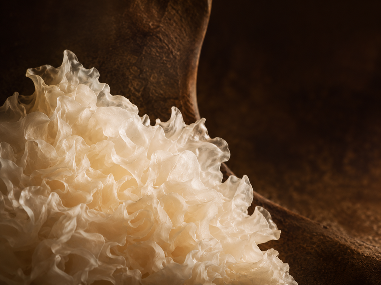 Tremella Fuciformis